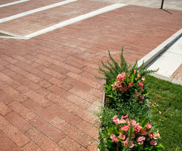 Depavimentazione urbana: ripensare le superfici delle città
